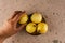 Winter season fruit in Mexico, giant guavas on a wooden plate on a pink quarry background and a hand taking a fruit