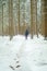 Winter season.Man in the natural environment in the cold season. Traveler in snowy forest.man with a backpack in snowy