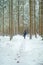 Winter season.Winter travel and hiking.Man in the natural environment in the cold season. Traveler in snowy forest