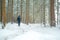 Winter season.Winter travel and hiking.Man in the natural environment in the cold season. Traveler in snowy forest.man