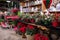 Winter seasonal decor - variety of beautiful floral arrangements specially created for stylish interior design in Christmas - New