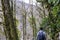 In the winter senior man is walking along a hiking trail among relict trees in the yew-boxwood grove of the Caucasian Biosphere