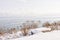 Winter shore of lake Ontario