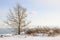 Winter shore of lake Ontario