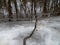 Winter shore of a reservoir covered with cracked ice