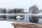 Winter shore of unfrozen lake with melted water