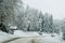 Winter sight on a mountain in West Serbia