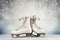 winter skates, ice skating, ice rink, winter Symbol, winter leisure concept