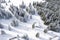 Winter ski resort Pamporovo, Bulgaria. Aerial view snow capped mountain forest, unrecognizable tourists skiing on slopes