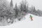 Winter Skiing. Alpine skier skiing downhill at mountain snow covered ski trail slopes in winter on perfect powder snow