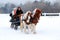 Winter Sleigh Ride