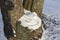 Winter smile. A tree stump covered in snow with a painted smiley face