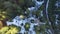 Winter Snow Aerial Shot of Pine Forest and Mountains California Forward Street