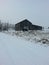 Winter snow, barn and cows