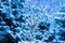 Winter Snow Christmas Tree 5