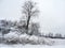 Winter snow country field landscape tree and shrubs