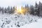 Winter snow covered fir trees on mountainside blue sky