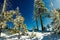 Winter snow covered fir trees on mountainside on blue sky background