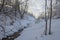 winter snow-covered forest with ravine