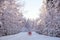 Winter snow-covered forest, red car driving on the road, sunny day