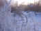 Winter snow covered trees in a misty garden frozen near a metal swing in the snow