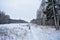 Winter snow forest. Cloudy sky. Birch grove. Girl on skis. There is snow and ice on the branches