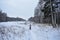 Winter snow forest. Cloudy sky. Birch grove. Girl on skis. There is snow and ice on the branches