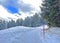 Winter snow idyll along the rural alpine road above the tourist resort of Lenzerheide