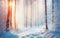 Winter snow landscape. Christmas background. Fir tree forest on mountain. Frozen season nature woods, sun in sunset sky, sunrise