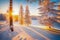 Winter snow landscape. Christmas background. Fir tree forest on ski mountain. Nature dawn sunrise light, sun in sunset sky Pine