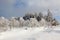 Winter snow landscape, High Fens, Belgium