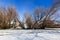 Winter snow landscape with trees