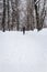 Winter, snow in park. Back view of silhouette lone young man walking through alley