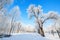 The winter snow and rime scenic