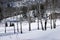 Winter snow with rolling hills, aspens and large homes