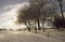 Winter snow scene in uk countryside meadow