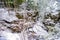 Winter and Snow Scenery at Mount Rainier National Park, Paradise