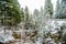 Winter and Snow Scenery at Mount Rainier National Park, Paradise