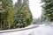 Winter and Snow Scenery at Mount Rainier National Park, Paradise