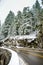 Winter and Snow Scenery at Mount Rainier National Park, Paradise