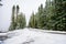 Winter and Snow Scenery at Mount Rainier National Park, Paradise