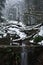 Winter snow scenic valley in the misty forest