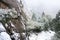 Winter snow storm and granite cliffs in Yosemite National Park