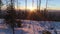 Winter Snow Sunset Forest Reverse Aerial 4k