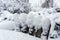 Winter, snowfall in the garden. Table and chairs with snow