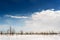 Winter Snowscape and Fields of Weeds