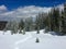 Winter Snowshoe Trail at Montgomery Pass in Colorado