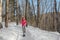 Winter snowshoe woman hiking. Snowshoeing asian biracial woman in winter forest on hike in snow wearing snowshoes living