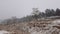 Winter snowstorm covering dry meadow, frozen lake and leafless woods on the horizon. Cold seasonal blizzard, numb nature