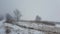 Winter snowstorm covering dry meadow and the frozen lake water. Leafless trees and dry reed near pond. Cold seasonal blizzard